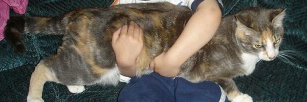 OliyTC Profile Banner