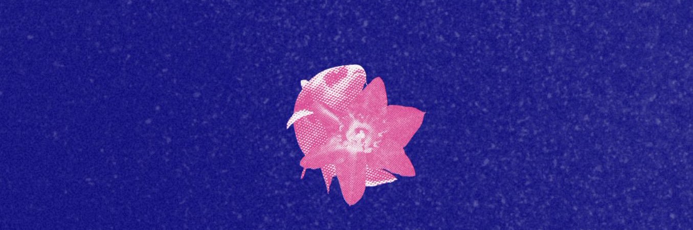 whattasmolbean's profile banner image