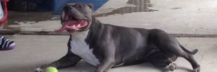 MartinLouis's profile banner image