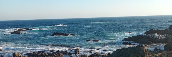 cogollolarrain Profile Banner