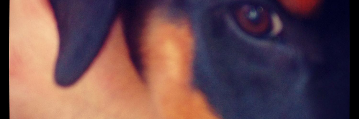 Luis_Benedetti's profile banner image