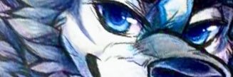 🐕 Hachi 🐾 banner