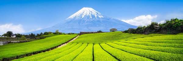 SystemesD Profile Banner