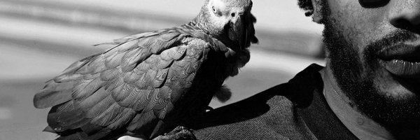 andrew_aijuka Profile Banner