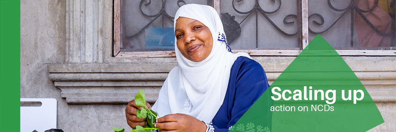 The Defeat-NCD Partnership banner