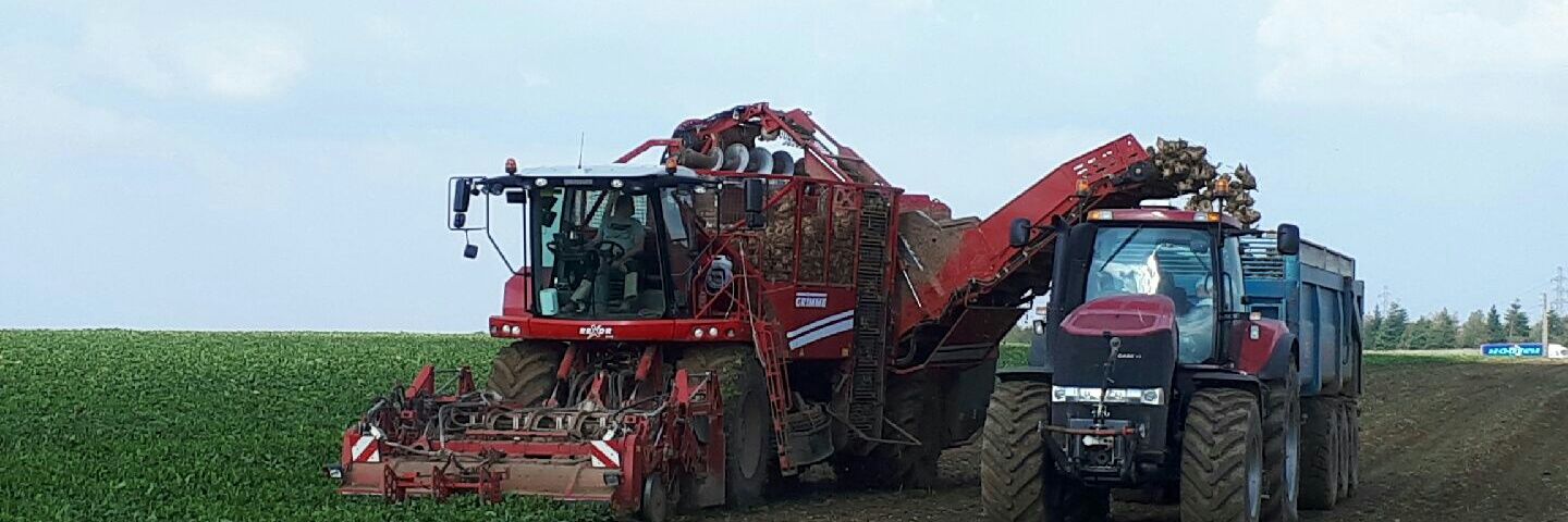 Alexandre Pelé banner