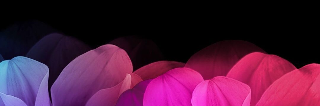 ObserwatorkaXY's banner
