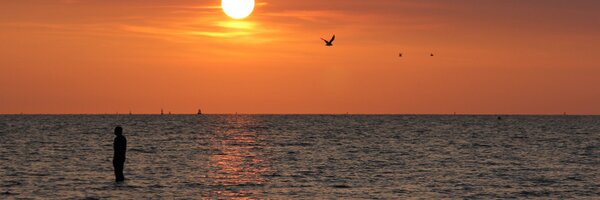 pbsummerfield Profile Banner