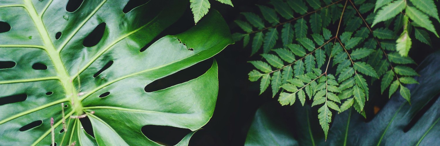 guiasingular's profile banner image