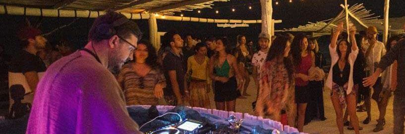 cocotulum's profile banner image