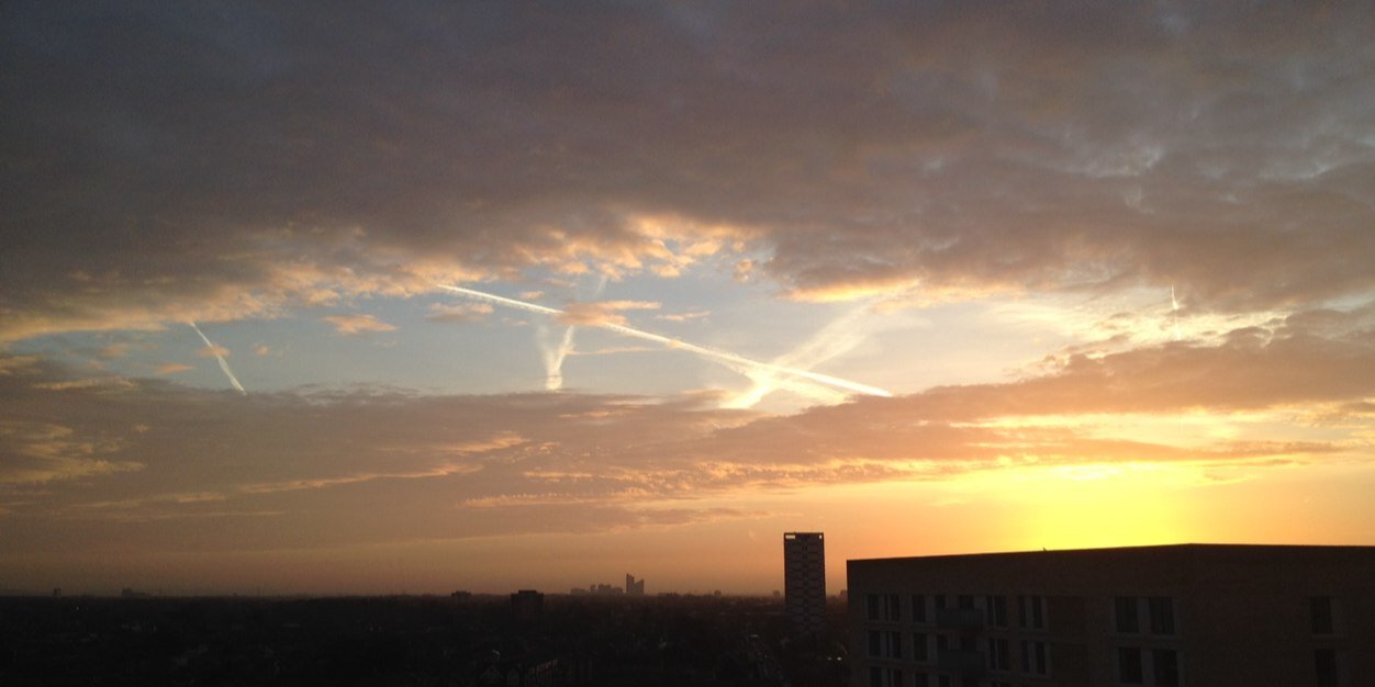 Maya Campbell banner