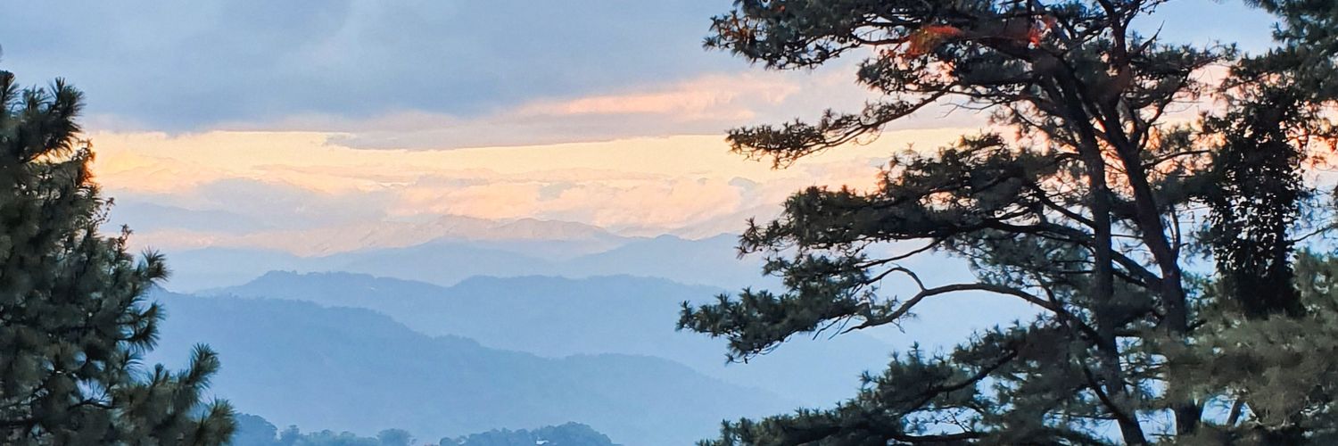 stringele's profile banner image