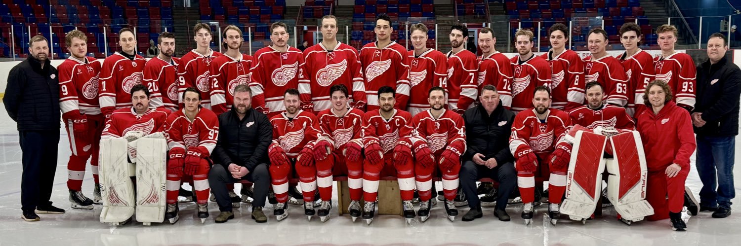 Deer Lake Red Wings banner