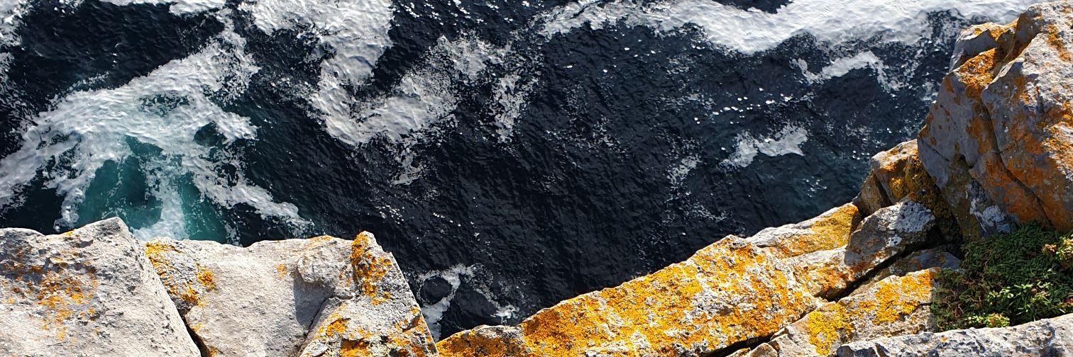 CodeDaveCode's profile banner image