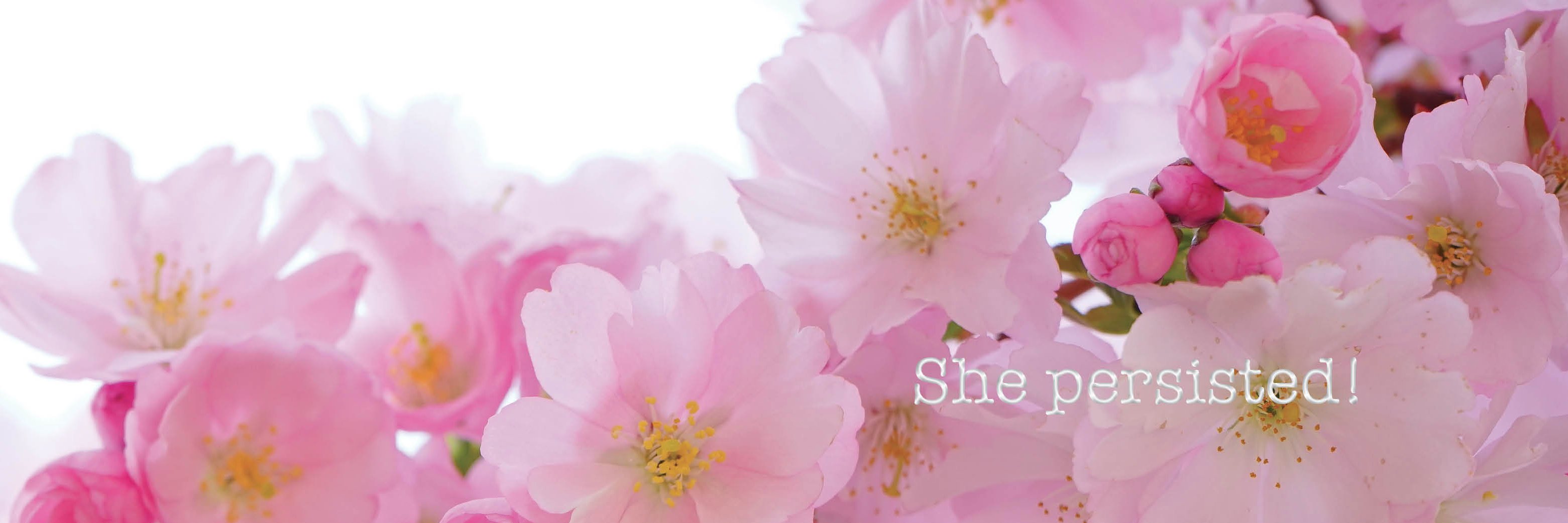 TillyGambill's profile banner image