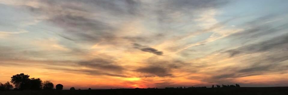 Leah DeMarest banner