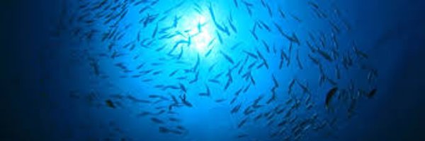 MillersLab11 Profile Banner