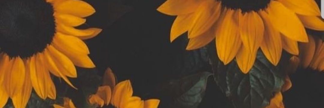 feyzagonen's profile banner image