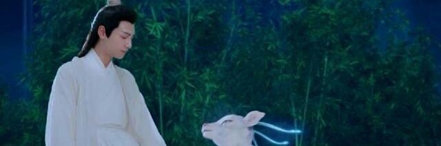 ซ_нежный котёнок 🖨️ banner
