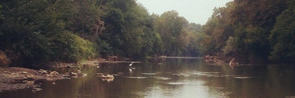 Michael Brown banner