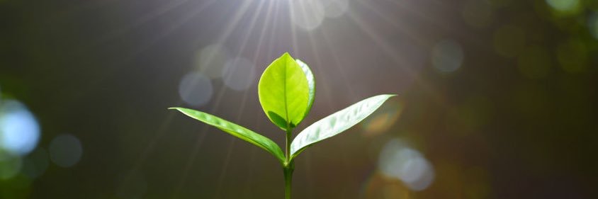 oseax's profile banner image