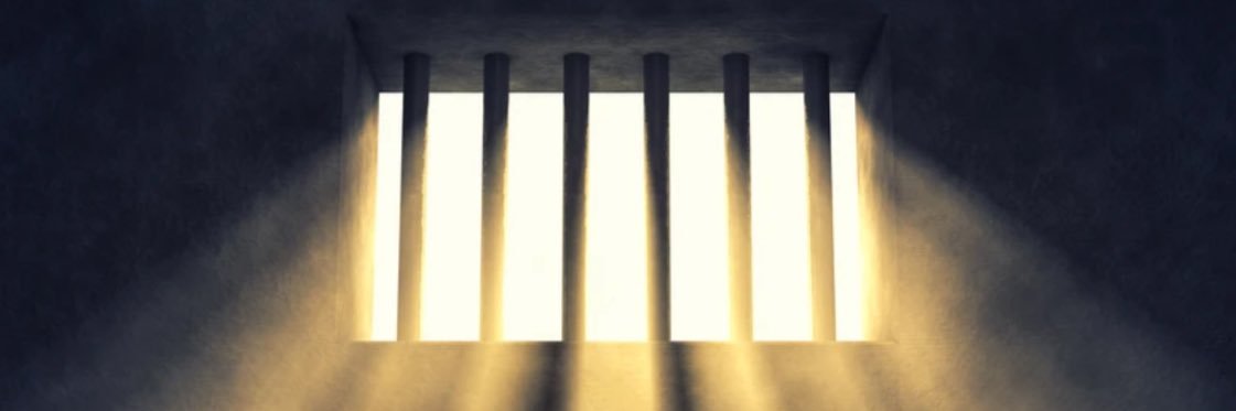 Prison Transparency Project banner