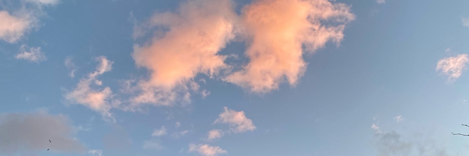 alaznesantos's profile banner image