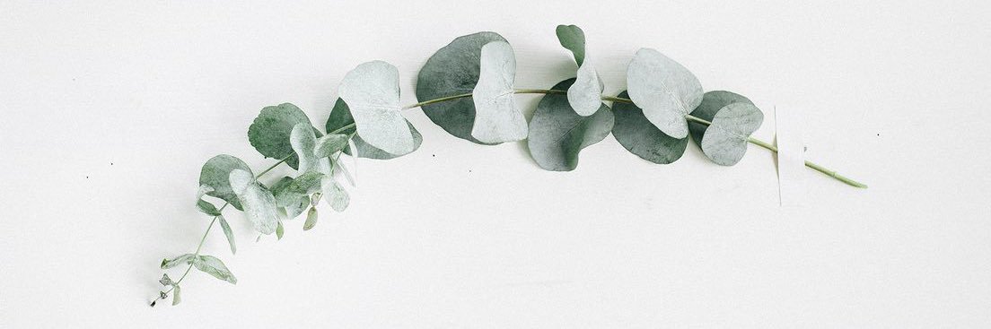 ErinnNoland's profile banner image