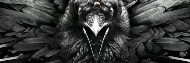 serdaraslan's profile banner image