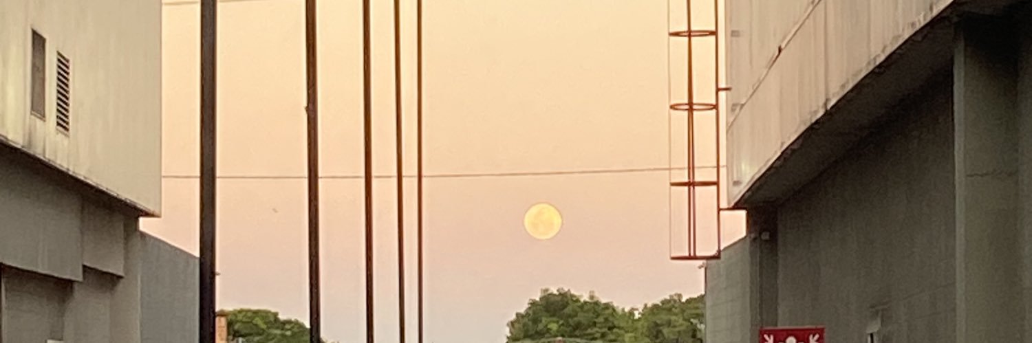 crfdemi's profile banner image