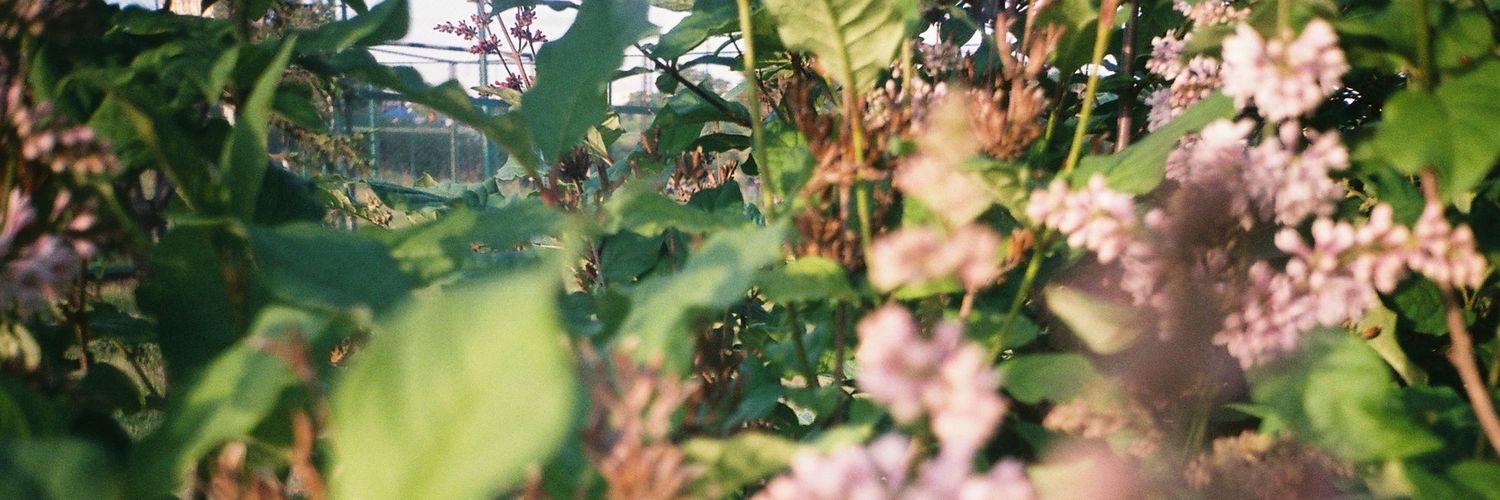 beecutiepiee's profile banner image