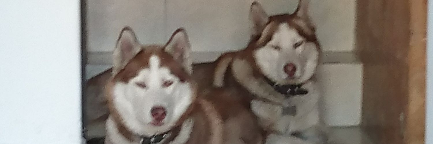 SolorzanomErick's profile banner image