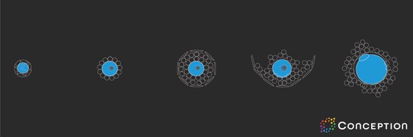 Conception Profile Banner