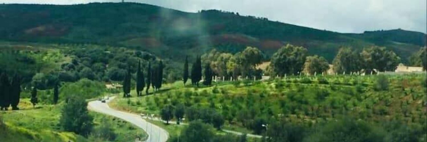 Dr. Mourad Belabes's banner
