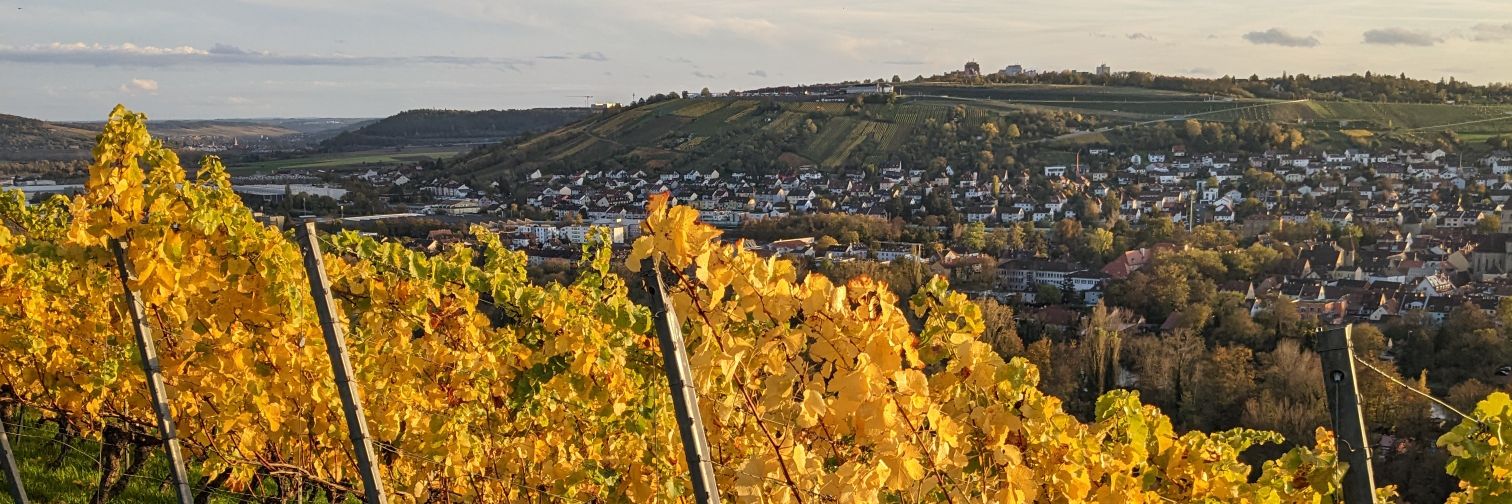 JägerStoffz in Vollzeit's banner