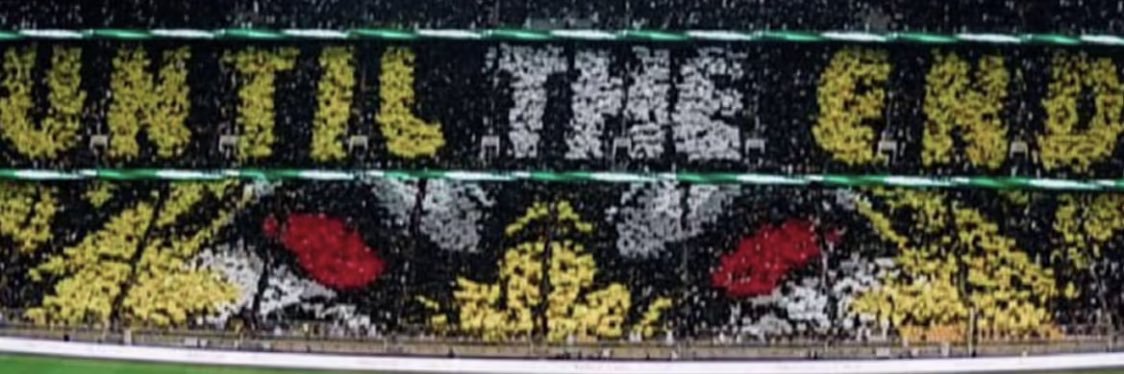 14_bdran's profile banner image