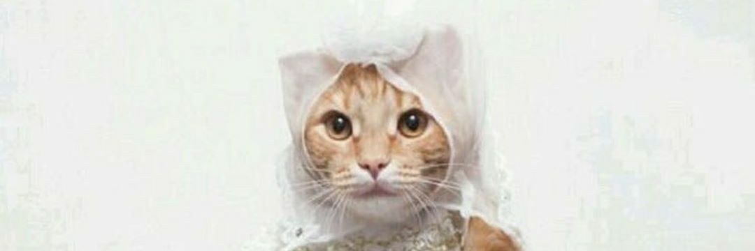 Kübra Bilgin banner