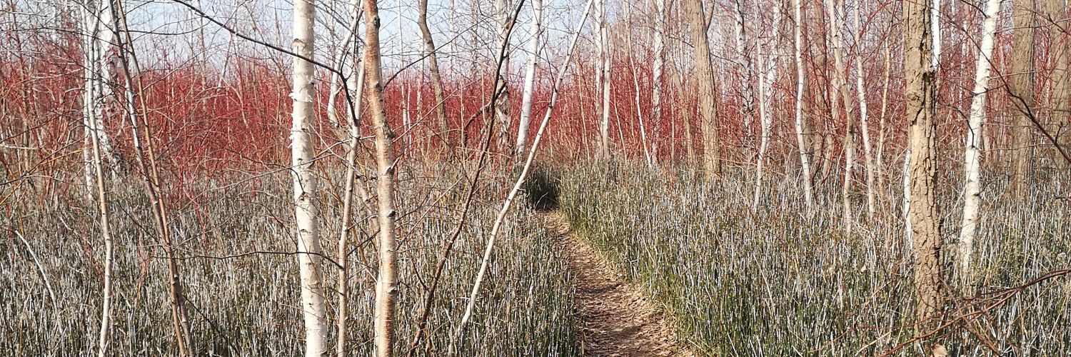 Alexandria J. Winterburn banner