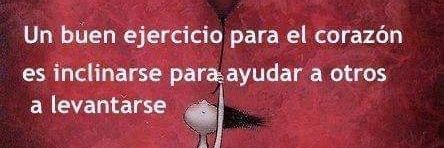 INGRID DAROCH banner