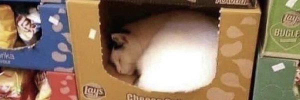 fleperd Profile Banner