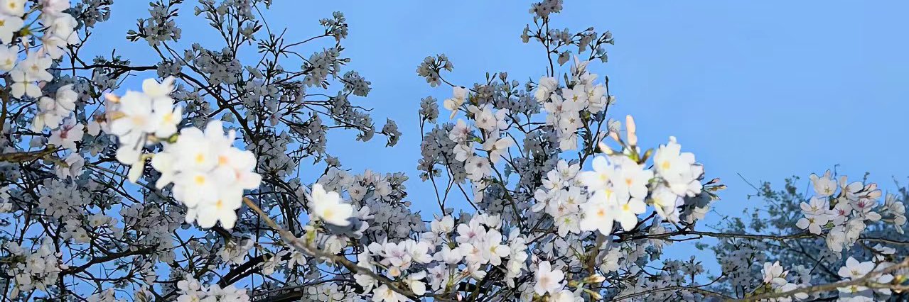 ＿原熙's banner