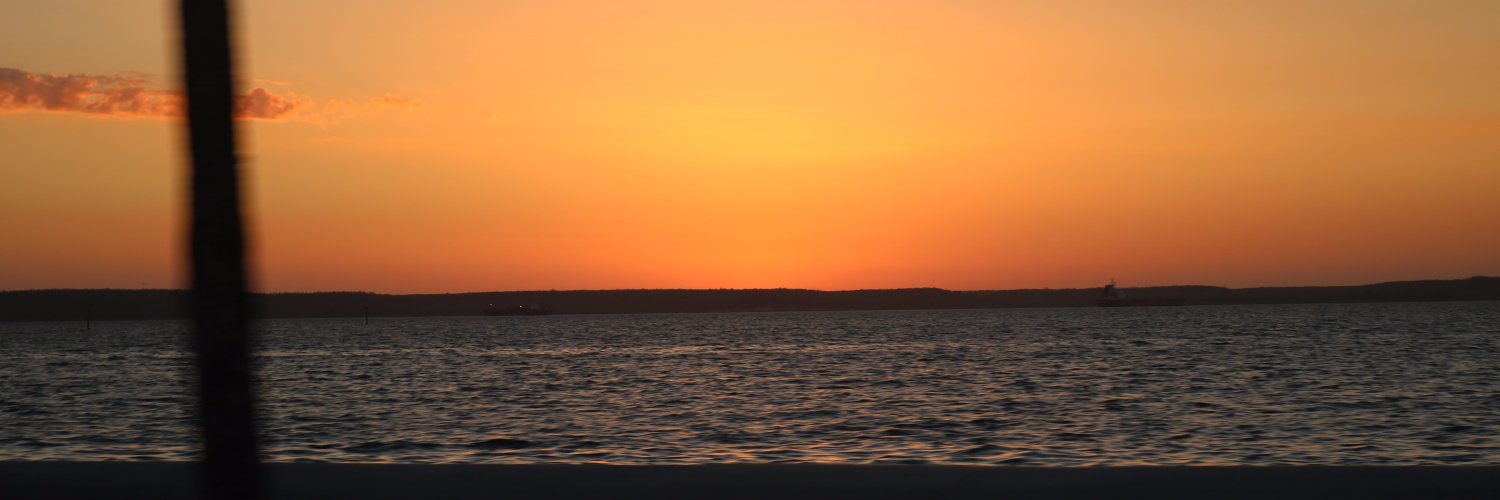 fideale's profile banner image