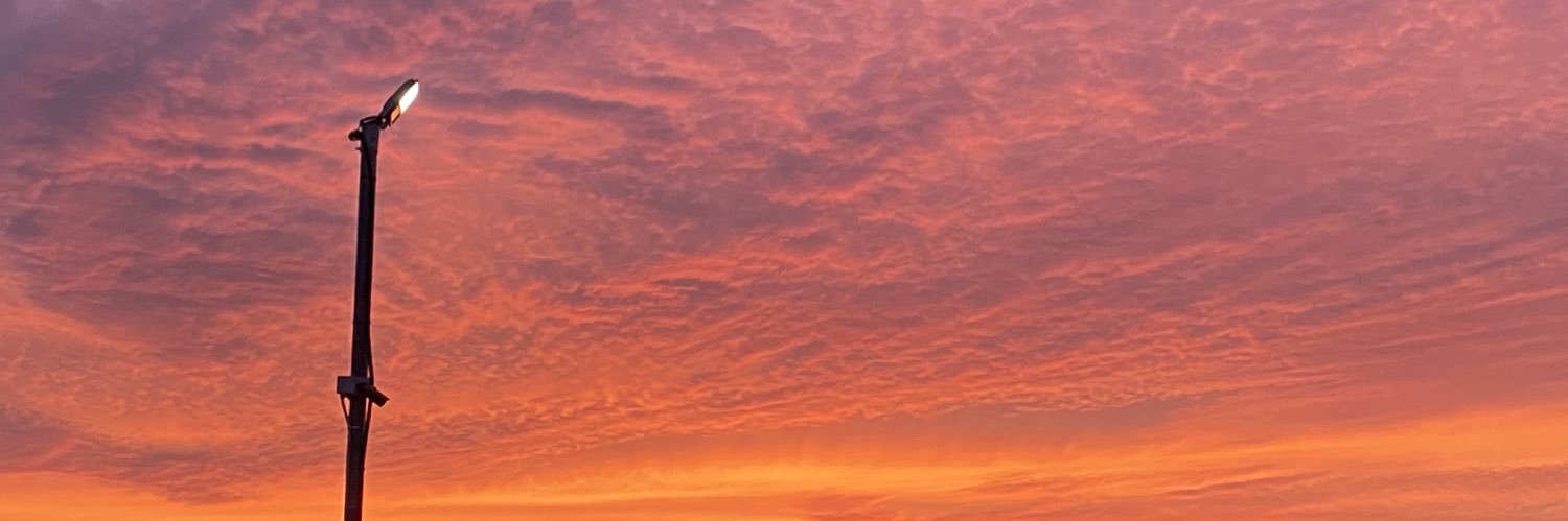 femtst's profile banner image