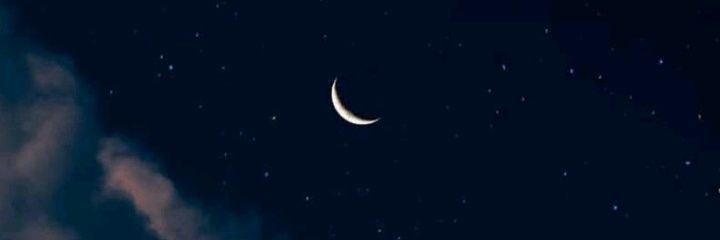 sam_xozo's profile banner image