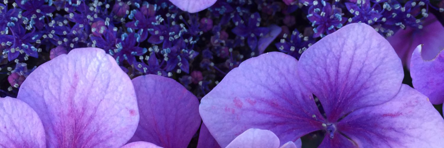 BethIsbell's profile banner image