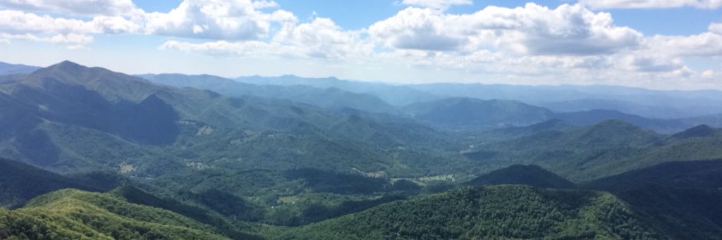 nickellis_3's profile banner image
