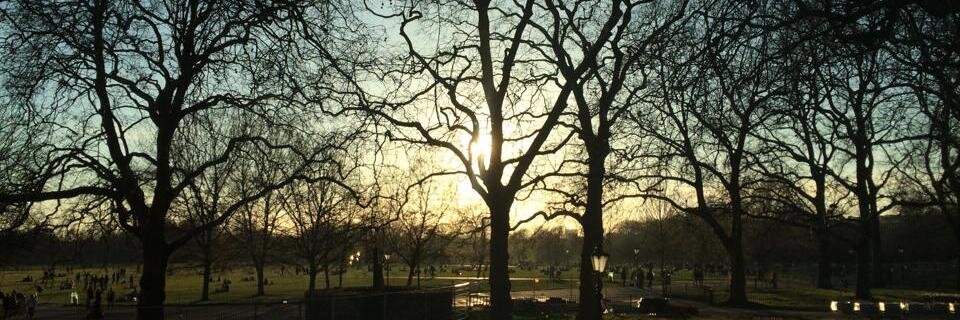 Omar Abdelhafith banner