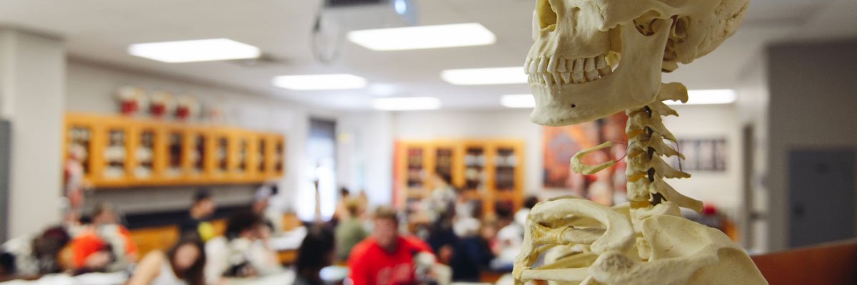 SSU_Science's profile banner image