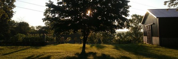 SaraJPharmD Profile Banner