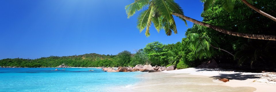 Stampage's profile banner image
